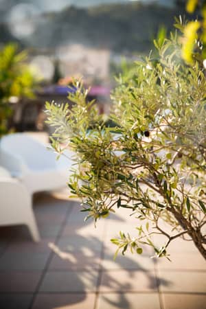 Hotel Olympic Diano Marina Fotovoltaico 01